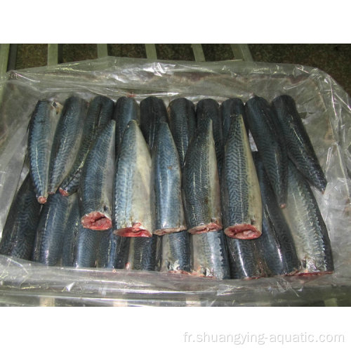 Frozen 150g HGT Pacific Mackerel Fish Guted